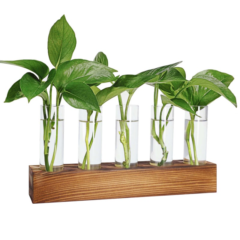 Renmxj Plant Propagation Station  Plant Terrarium with Wooden Stand  Plant Pots for Hydroponics  Small Birthday Gardening Gifts for Women Mom Plant Lovers Unique - 5 Glass Test Tubes Vases - Image 1